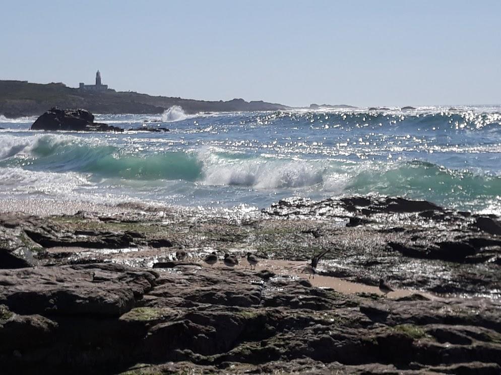 Hostal Balieiros Corrubedo Dış mekan fotoğraf